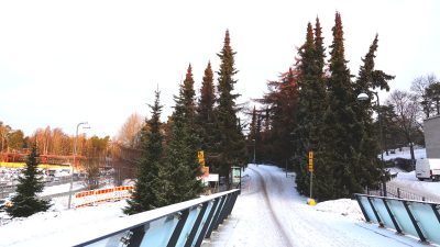 Kuusia kasvaa sillaan päässä.